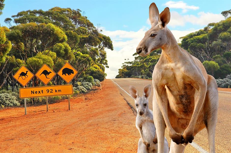Ultimate drives Down Under